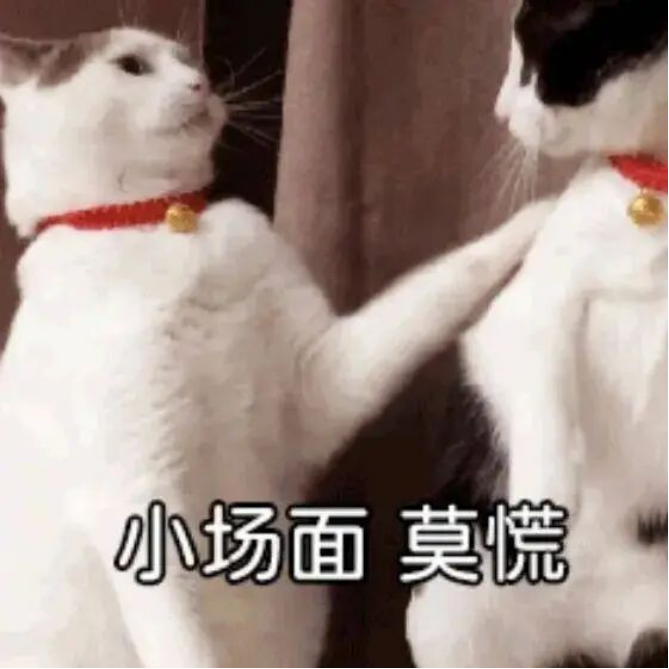 1764252607657248.png image.png